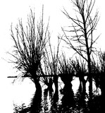 by Robert Elfferich