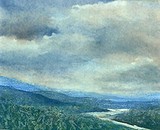by Michael Cook