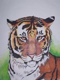 by Chante' Hall