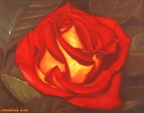 by Analua 
