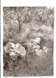 by Linda Bickston