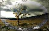 by Lisa Brewer