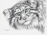 by Svetlana Ledneva-Schukina