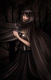 by anna bird