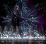 by Blue Doll