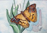 by Arlene Berry