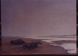 by Mugheen Riaz
