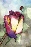 by Nora Blansett