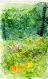 by Jeanie Chadwick