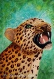by Dorothy Lee