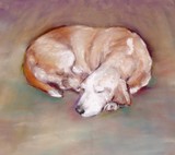 by Terri Garrett