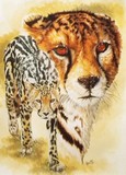 by Barbara Keith