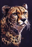 by Barbara Keith