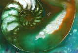 by Kathy Morton-Stanion
