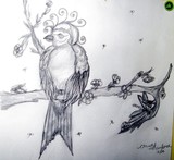 by christy manford