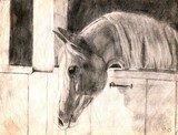 by Kim  Lawrie