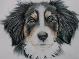 by Sue Clinker