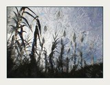 by Dale Witherow