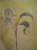 by Rebecca McCullough