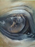 by els boedts