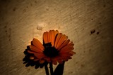 by mohita vasudeva