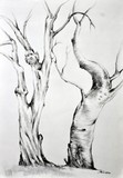 by John Biro