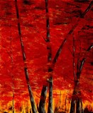 by veronique  radelet
