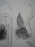 by Anna  Girgis