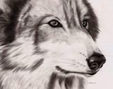 by Heidi Farrar