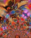 by Sara Deutsch