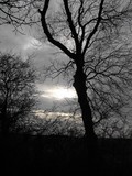 by Blue Skies