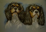 by Debbie PIke