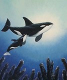by Susan E. Wolding