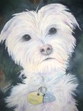 by patricia pushaw