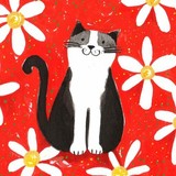 by jane Heyes
