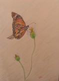 by Joanie Holliday