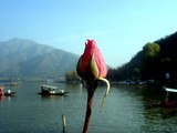 by anirban chandra pal