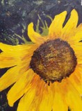 by Tami Booher