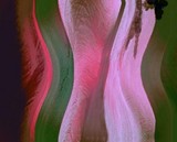 by Ash meerzad
