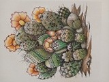 by Diane Chilson