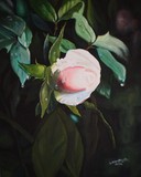 by Lander Blanza