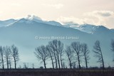 by Mentor Lutolli