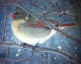 by Margi Tucker