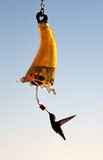 by Diponkar Banerjee
