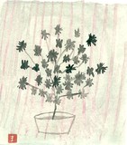 by MAKIKO BERRY