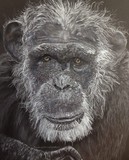 by Raynola Dominguez