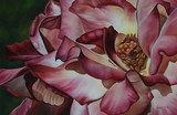by Ann Lebryk
