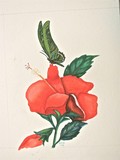 by Hubert Maloy