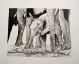by Amanda Martin