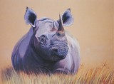 by Margie Gilligan